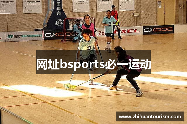 网址bsports必一运动